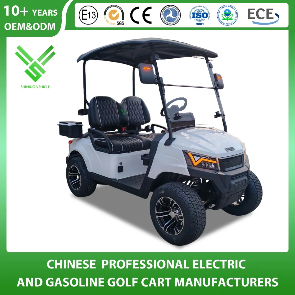 Shininglsv 2 Seat 48V Lead Acid Compact Entry Model Vehicle Golf Cart