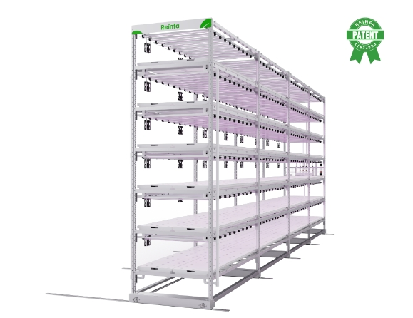 Reinfa Hydroponic System Nft Technology - Modular Vertical Grow Racks &amp; Full-Spectrum LEDs for Commercial Farms