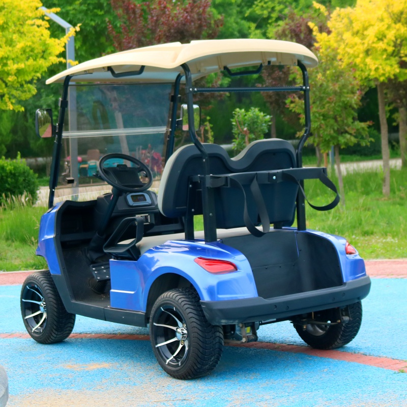 JG Mini Luxury Cheap 2 Passenger 2 Seater 2 Seats Antique Electric Classic Golf Cart for Wedding Resort Hotel Golf Cart Truck