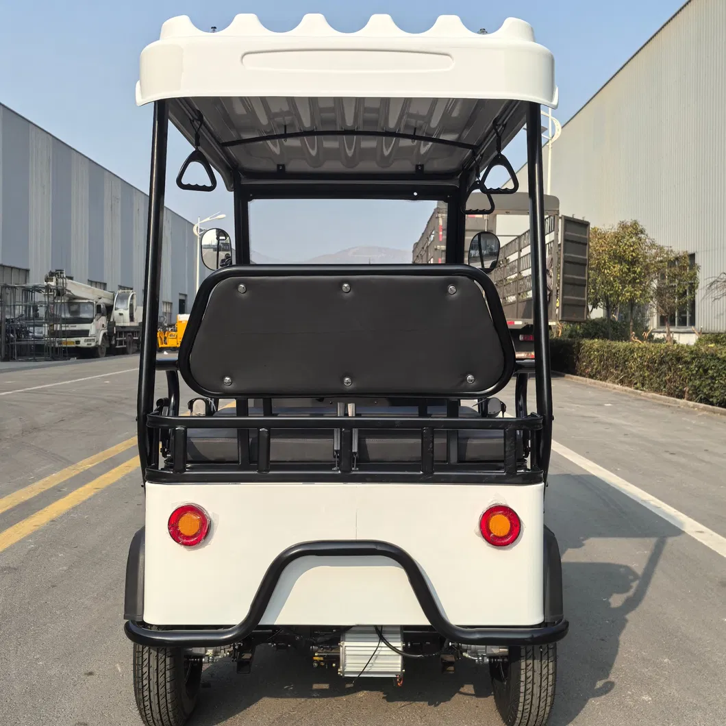 Wholesale Adult Electric Golf Cart with High-Speed Performance Features
