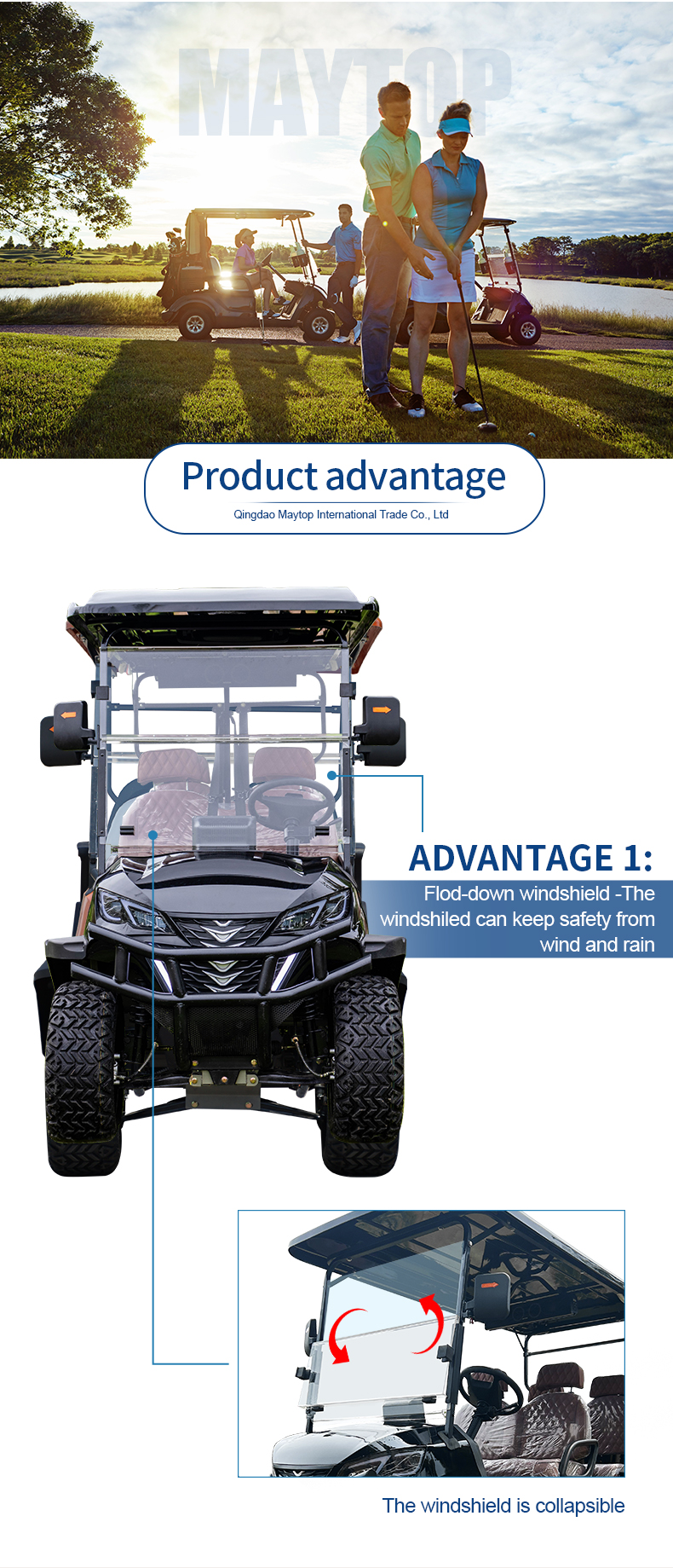 Electric vehicle details