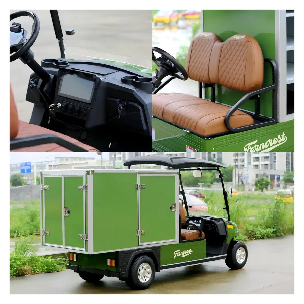 2 Person Rear Cargo Box Utility Electric Golf Carts