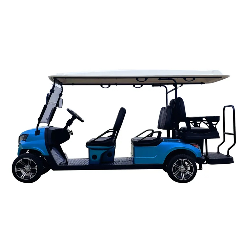 Golf Cart Interior Detail 2