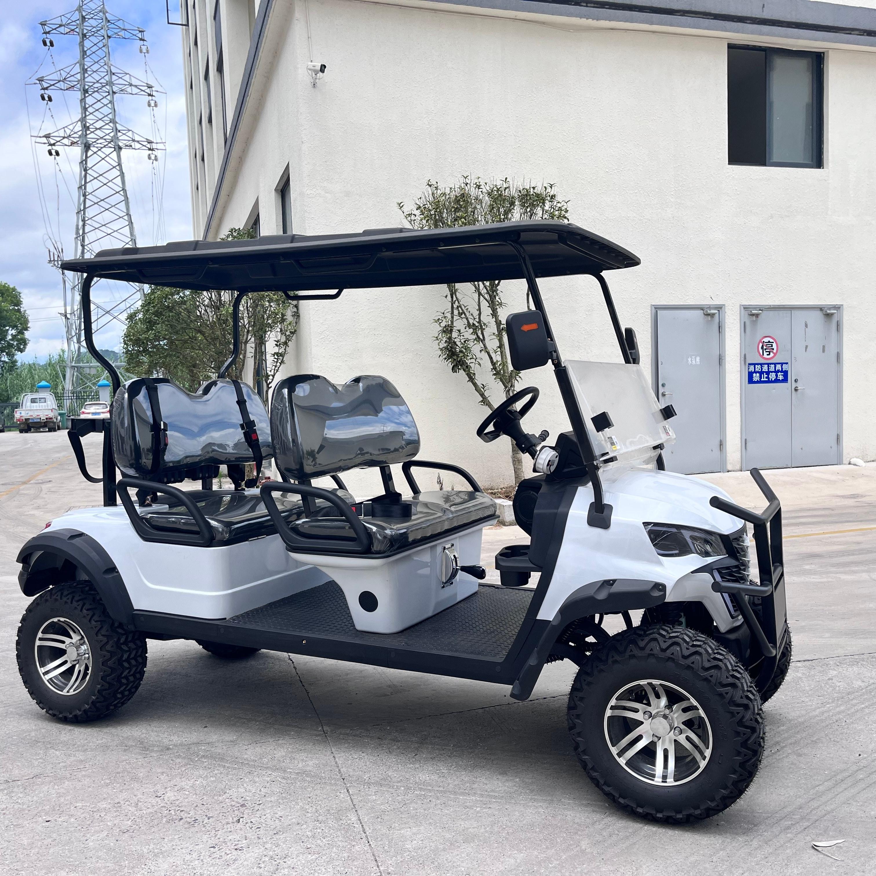 Golf Cart Detail View 5