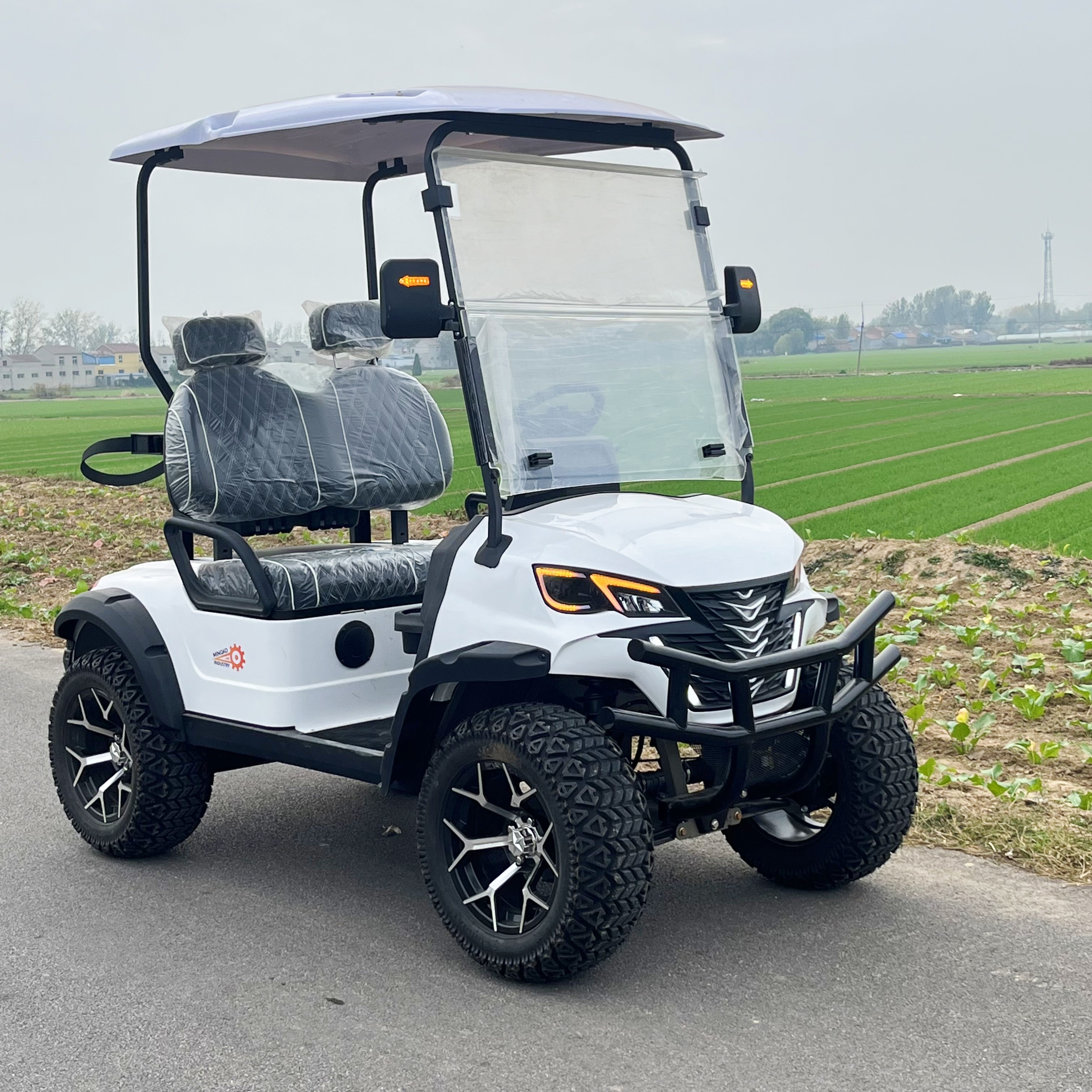 Chinese Small Mini Golf Cart Club 2 Passenger Electric Cheapest Buggy Car Vehicle Cart