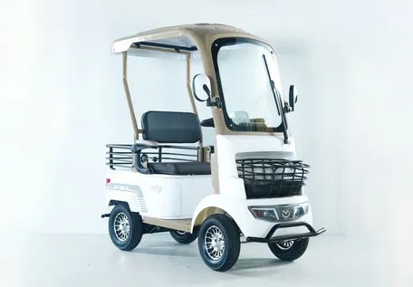 Luxurious A2 Dual-Brake Electric Golf Buggies Cart for 45km Long