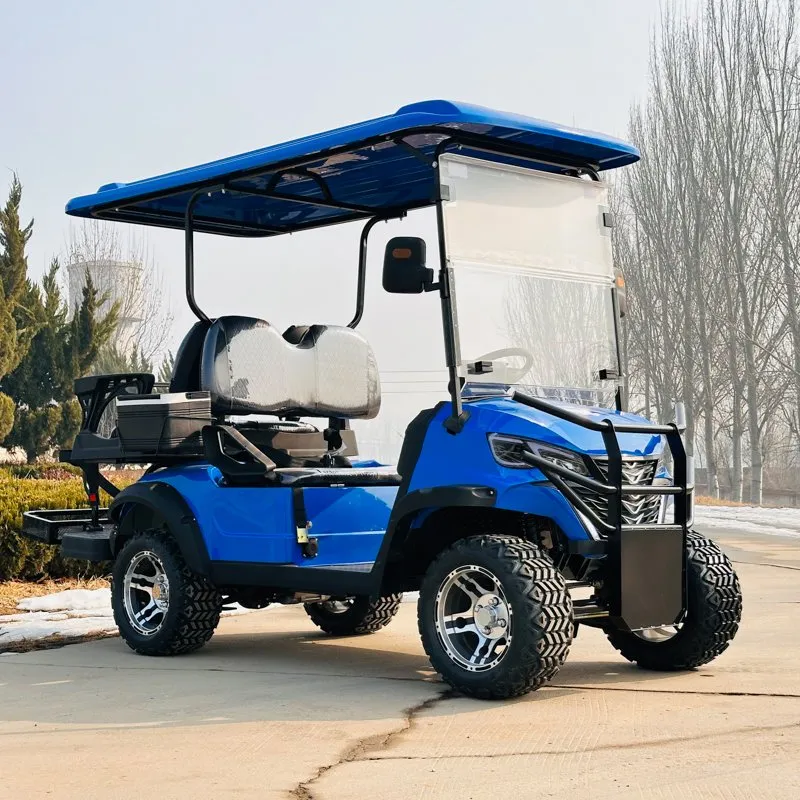 Electric Golf Cart Angle View