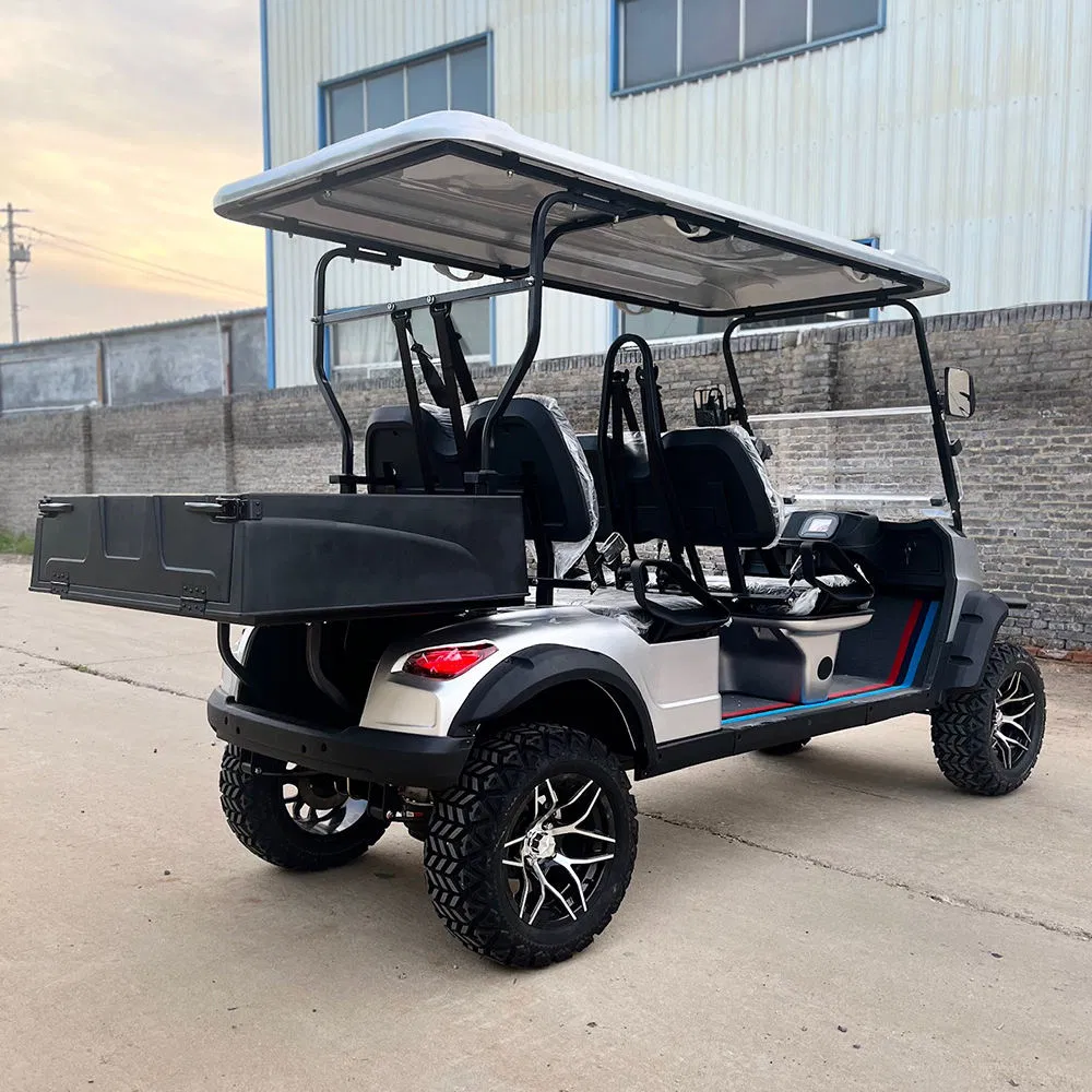 Driving-Stable Performance High Speed Capable AC 4kw Motor Driven Golf Buggies Cart
