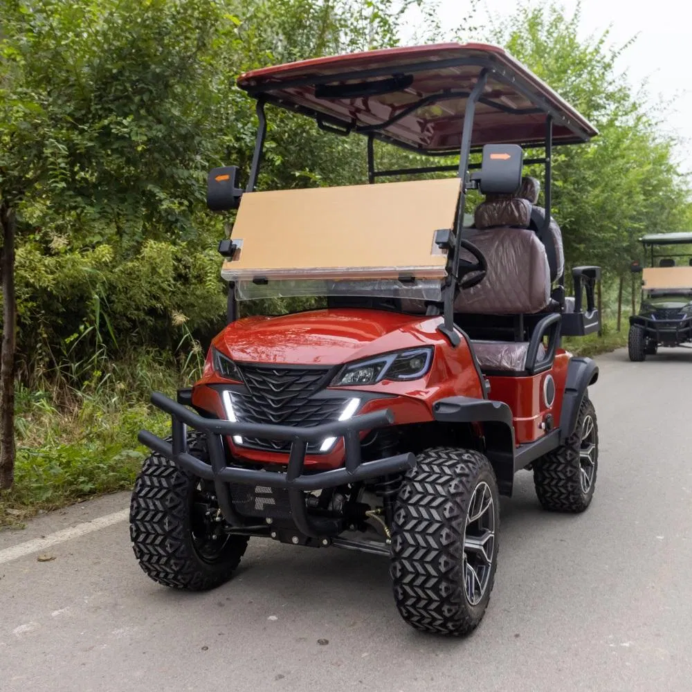 Enclosed Golf Cart Weatherproof Cabin Golf Buggy with Heater &amp; Windshield for Cold Climates