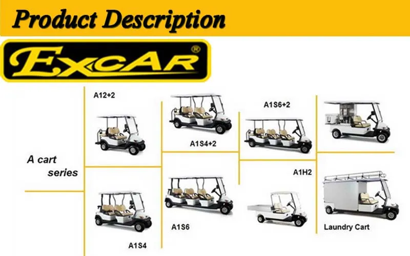 Ce Approved 2 Seater Utility Electric Golf Cart with Cargo