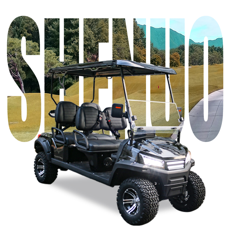 6 Seater Off-Road Electric Golf Cart 72V, Solar Powered with Lithium Battery