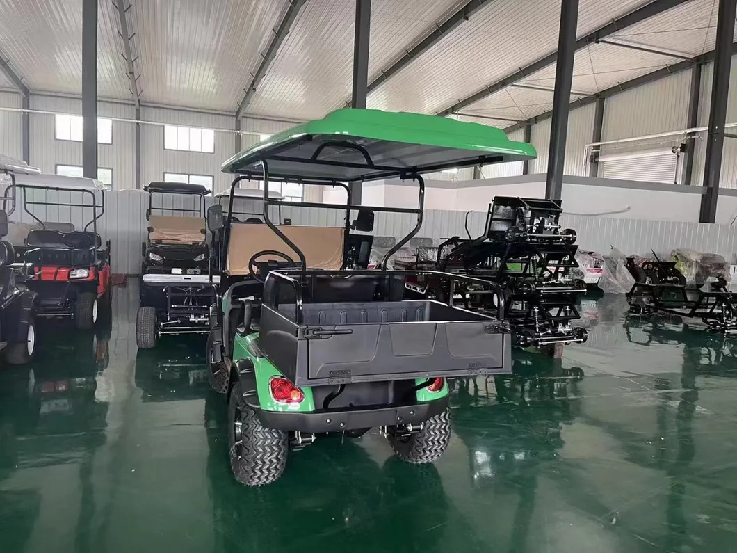Electric Utility Cargo Golf Cart Visual Show 5