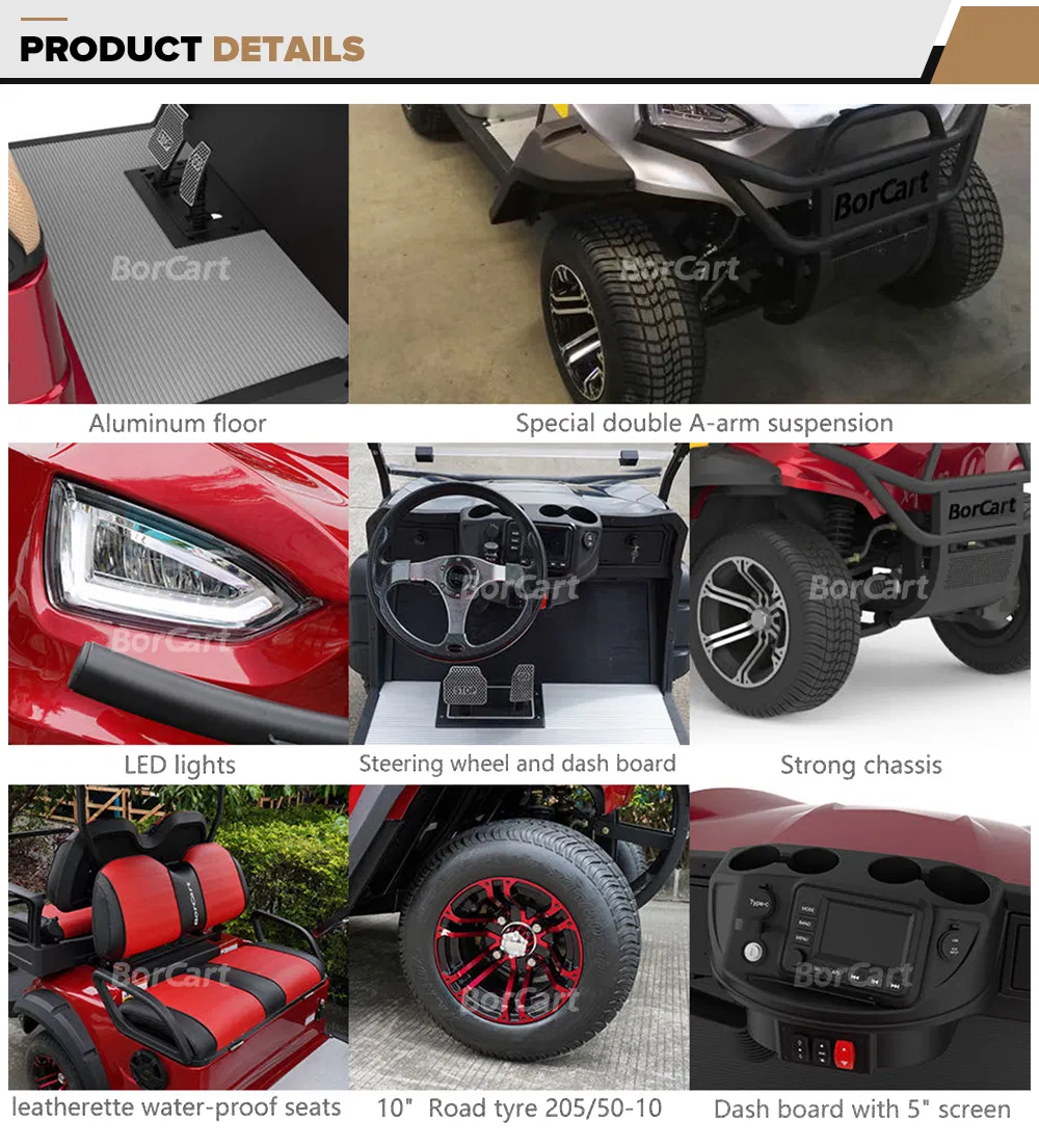 Custom High Performance High Speed Electric Golf Carts 6 Seat Carro De Golfe Hunting Buggy Cart for Sale