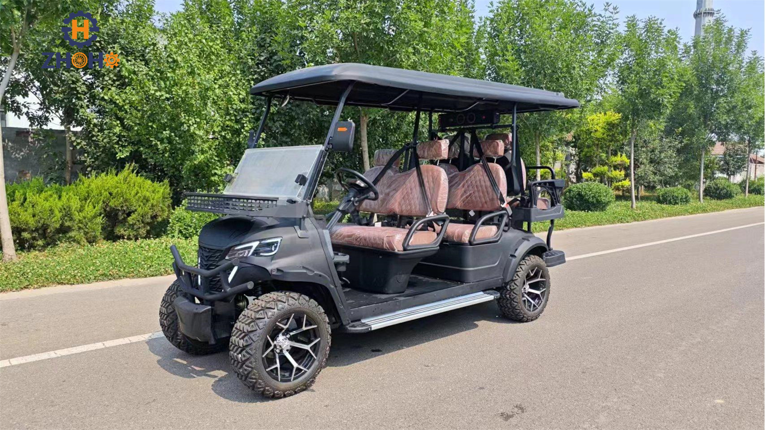 Golf Cart Detail 1