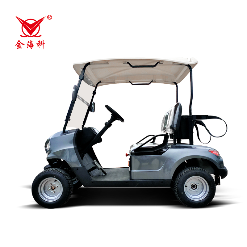 High Quality 2-Seater Electric Golf Cart on Sale Promotional Mini Golf Cart