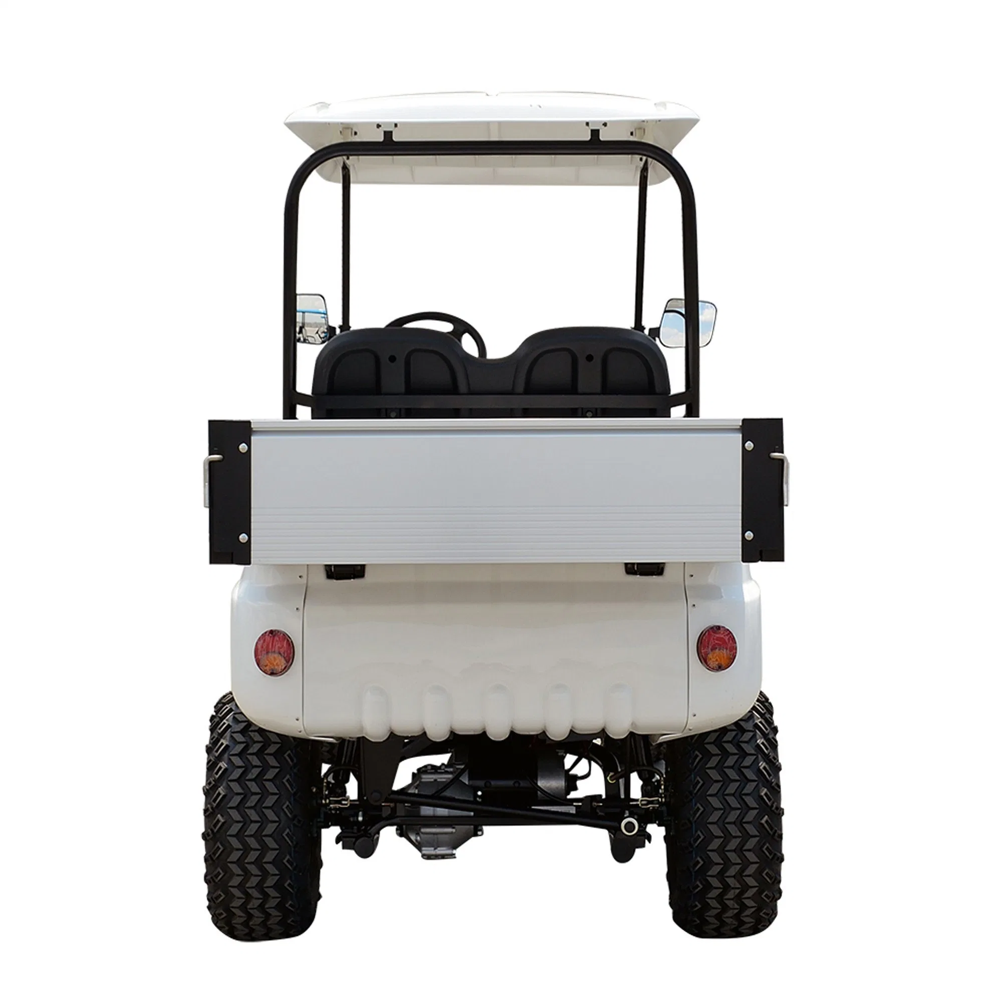 Electric Powered Utility Golf Cart 2 Passenger with Rear Cargo Bed