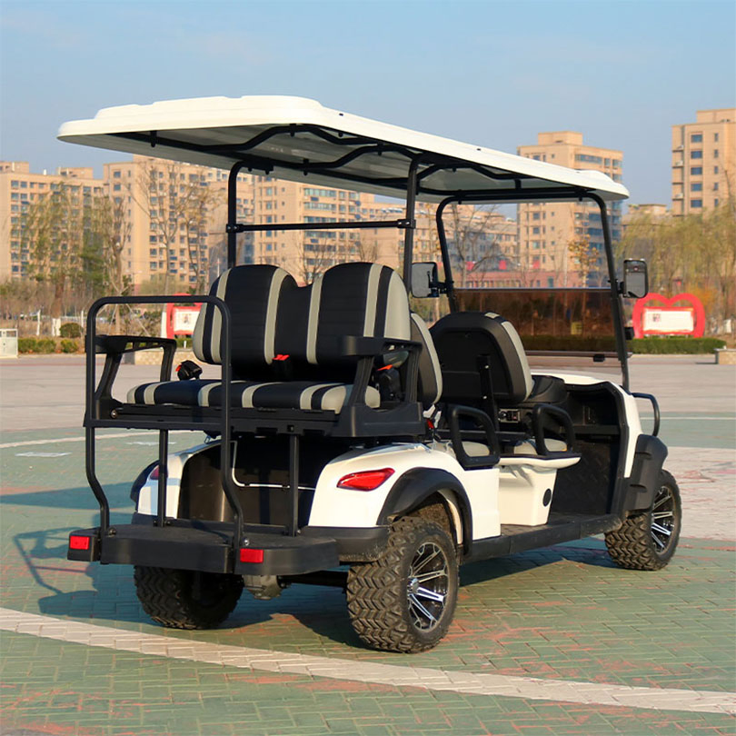 Street Legal 2/4 Seater Electric Golf Car for Personal Commute and Neighborhood Driving Golf Carts