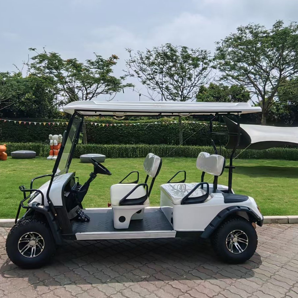 Golf Cart Gallery 3