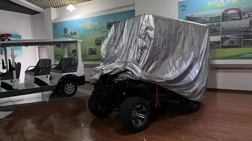 Electric Golf Club Cart Interior