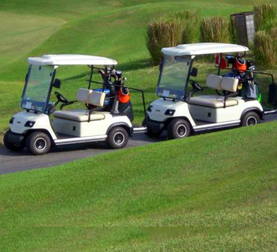 High-Performance Two-Passenger 4WD Golf Cart for Outdoor Adventures