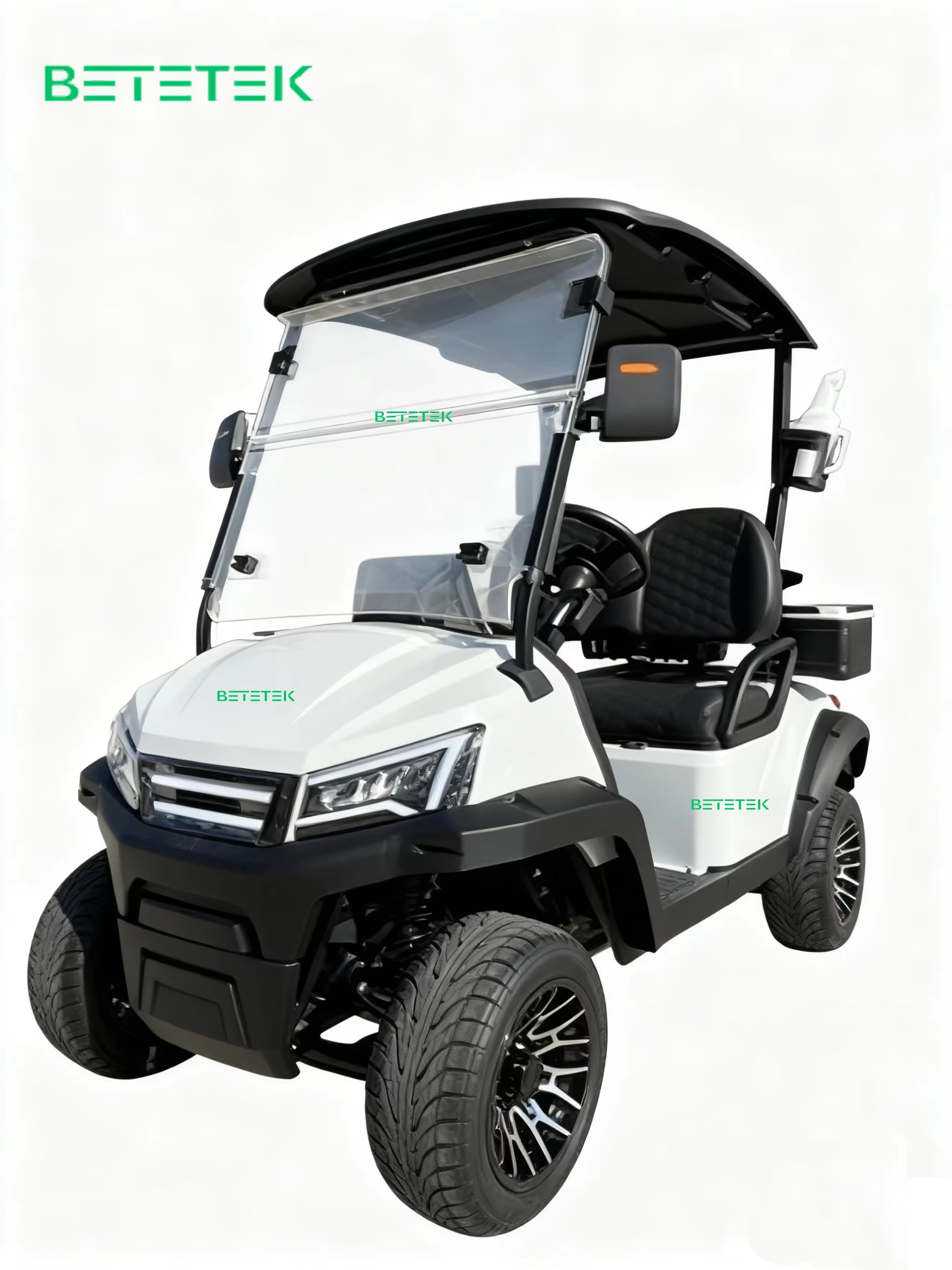 Electric Golf Cart Golf Buggy 2 Seater Compact Long Battery Life Leisure Travel Golf Course Shuttle Discount
