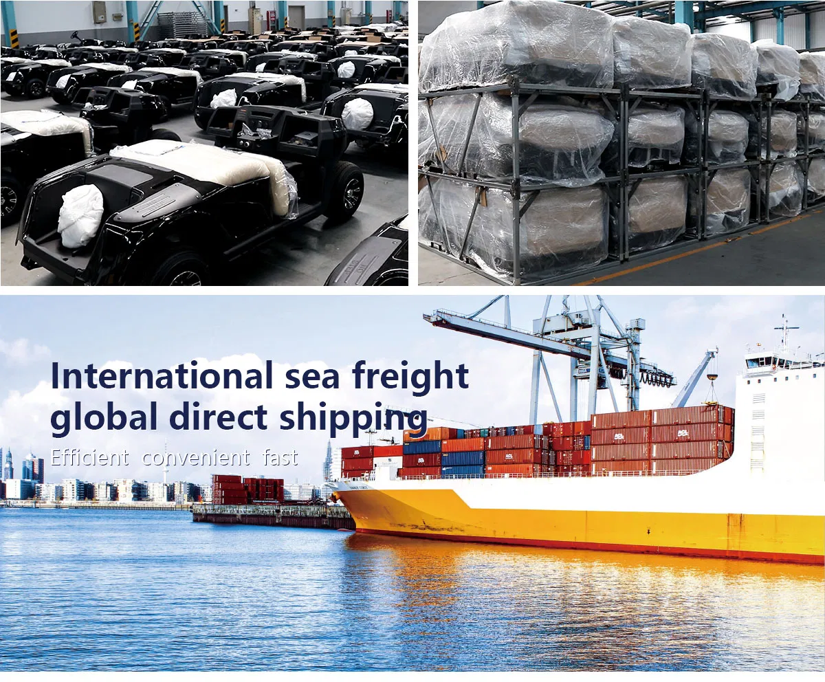 Packaging and Logistics details
