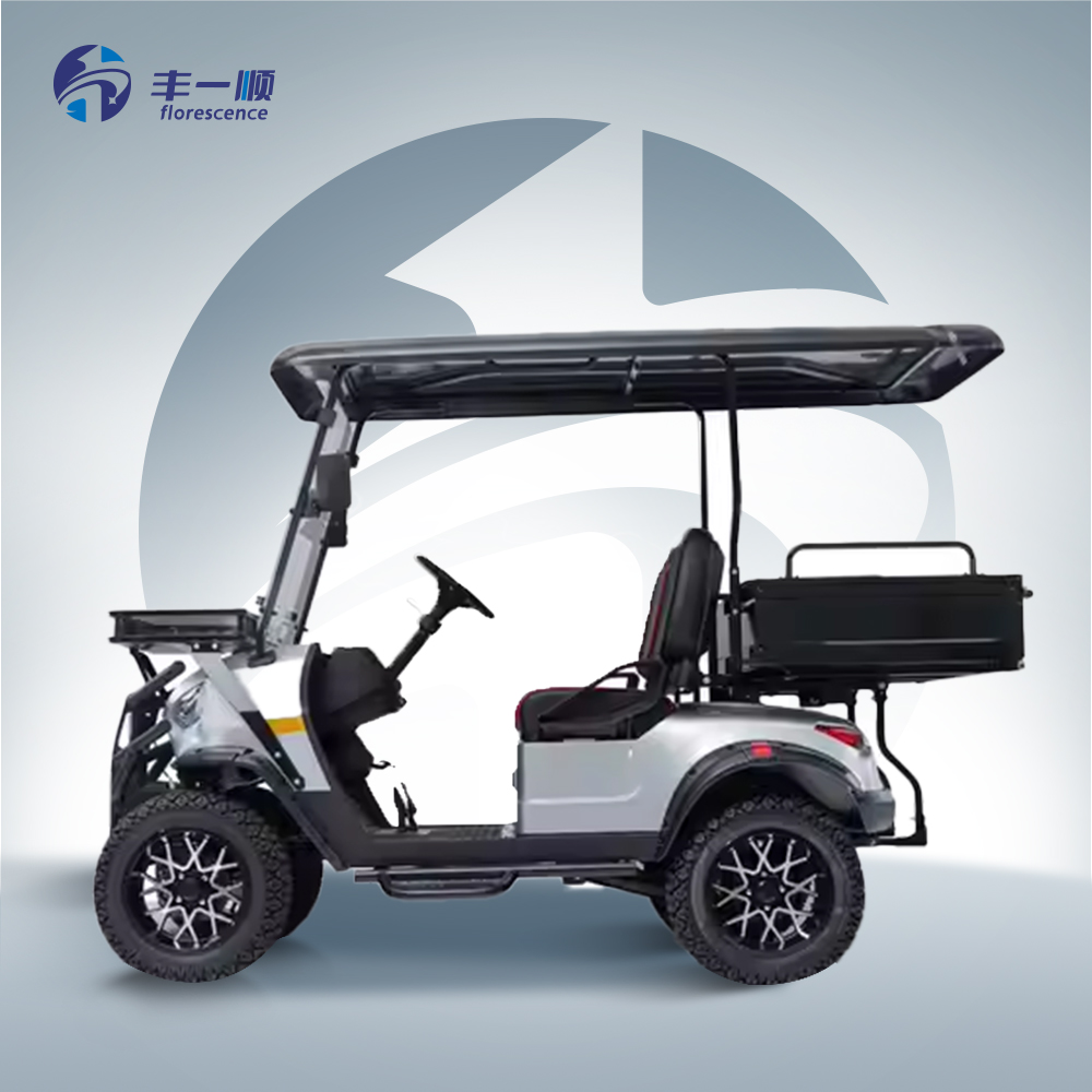 2 Seater Electric Golf Cart With Powerful Motor for Steep Hills and Heavy Loads at Parks Tourist Attractions and Airports
