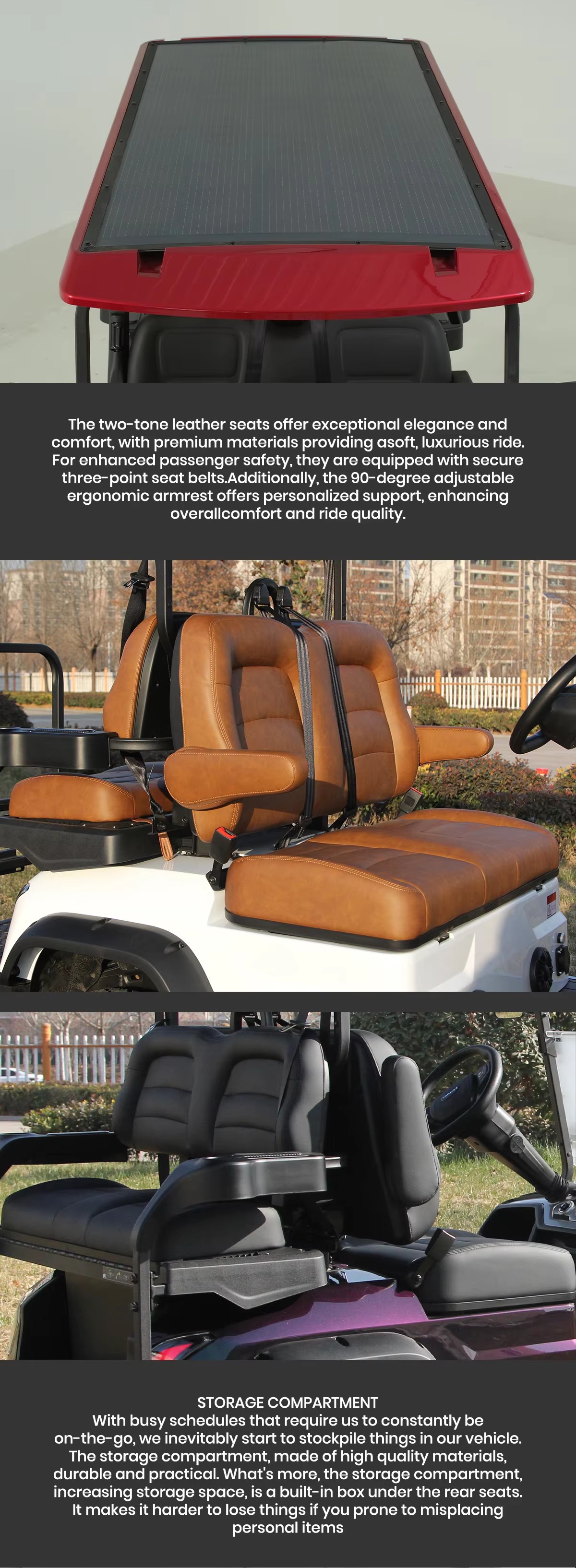 Golf Cart Gallery 3
