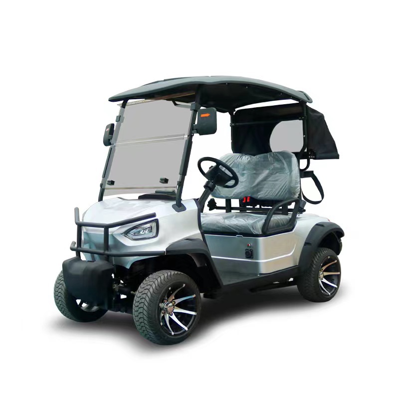 Silver 2-Seater Urban Electric Golf Cart, Compact Utility Vehicle with Foldable Windshield &amp; Rear Privacy Cover