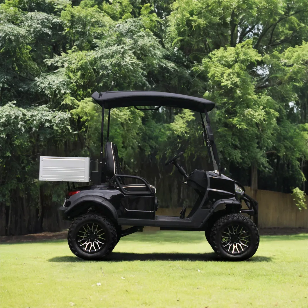 2-Passenger Utility Lifted Golf Cart Detail 1
