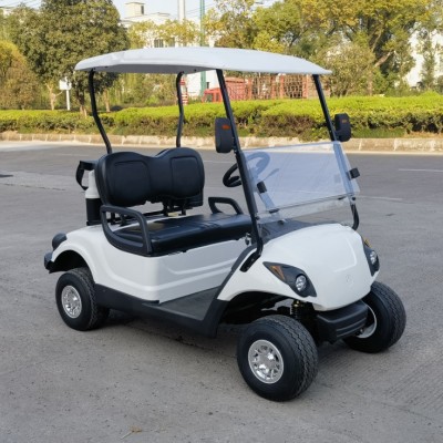 Gasoline or Electric Golf Cart