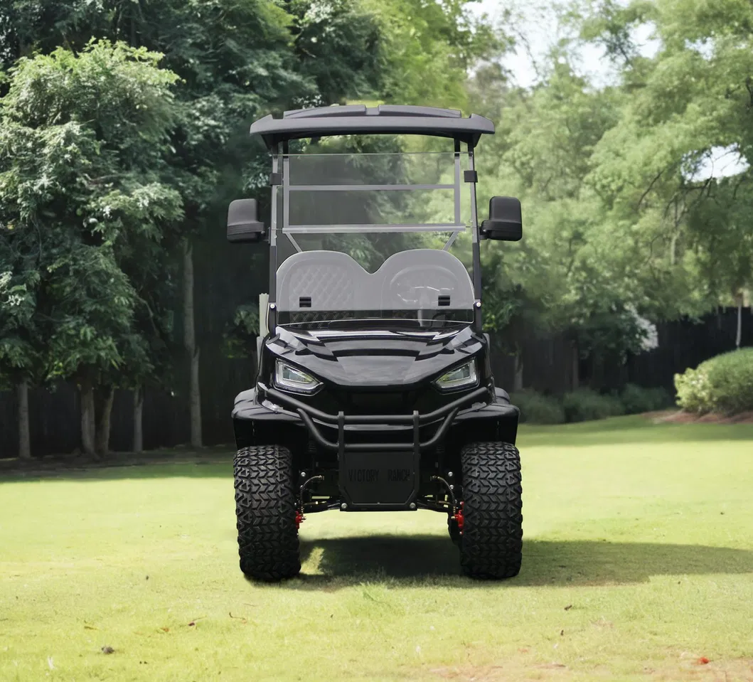 2-Passenger Utility Lifted Golf Cart Detail 3