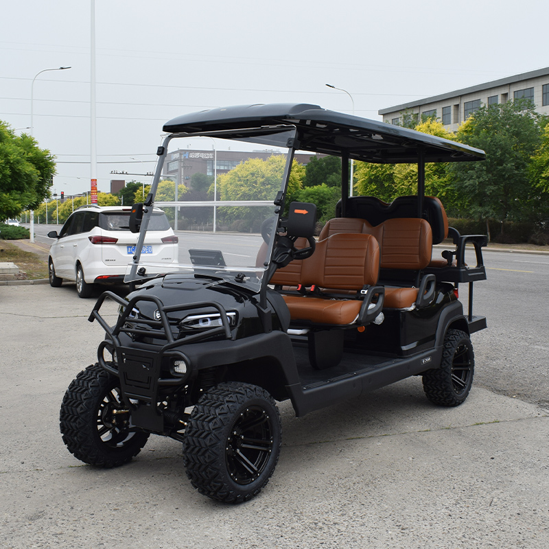 Electric Golf Cart Details
