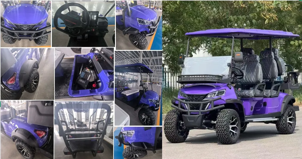 Factory Direct Utility Golf Cart with Cargo Bed Details