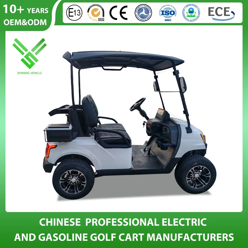 Shininglsv 2 Seat 48V Lead Acid Compact Entry Model Vehicle Golf Cart
