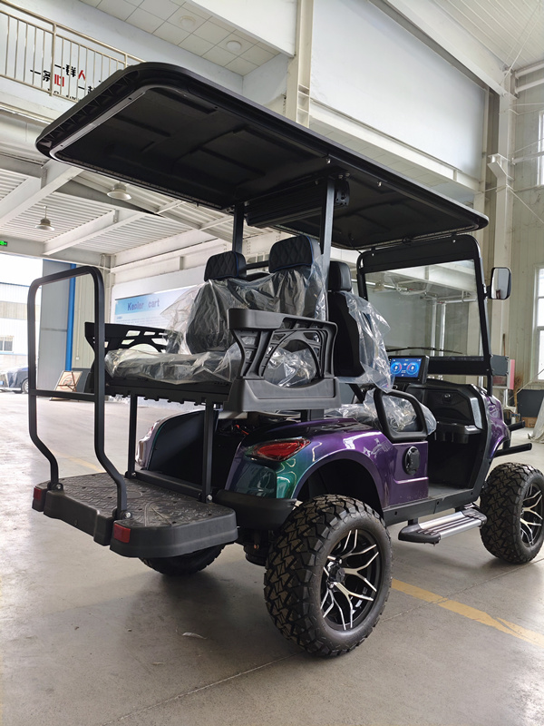 Electric Golf Cart Detail 4