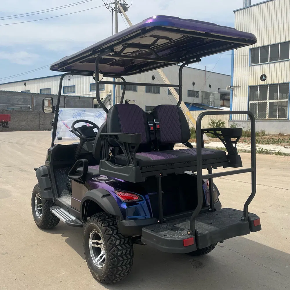 Driving-Stable Performance High Speed Capable AC 4kw Motor Driven Golf Buggies Cart