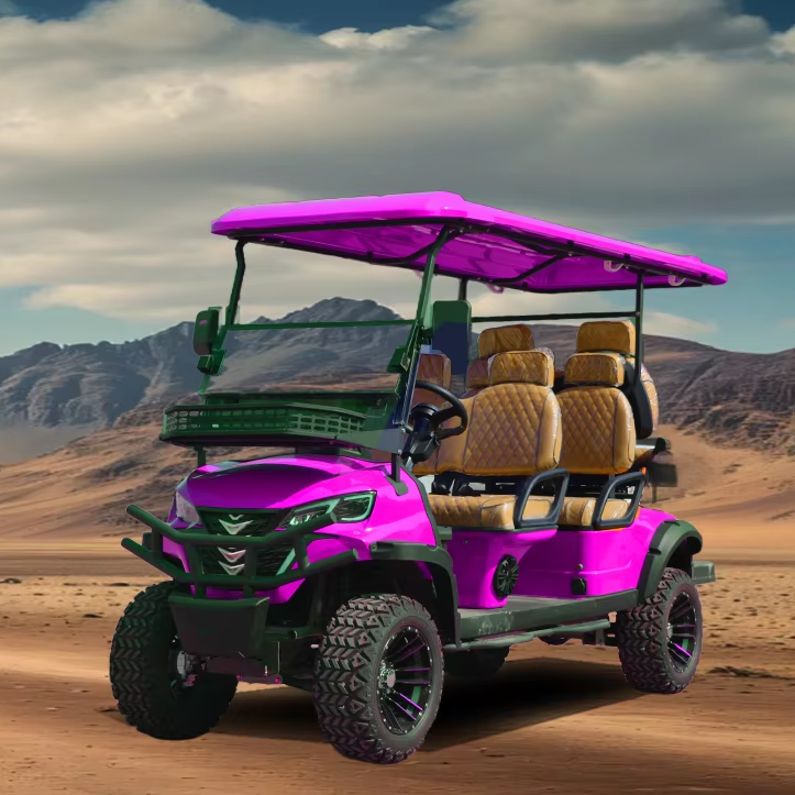 TONGCAI GPS Tracking &amp; Fleet Management 6-Seat Golf Cart for Sale