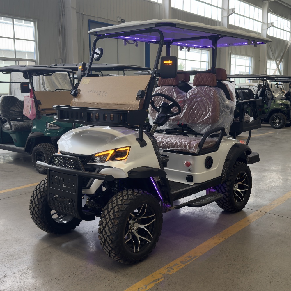 Factory Direct Sales 2+2 Seaters Electric Golf Cart Add Solar Panel Four Wheel Disc Brake