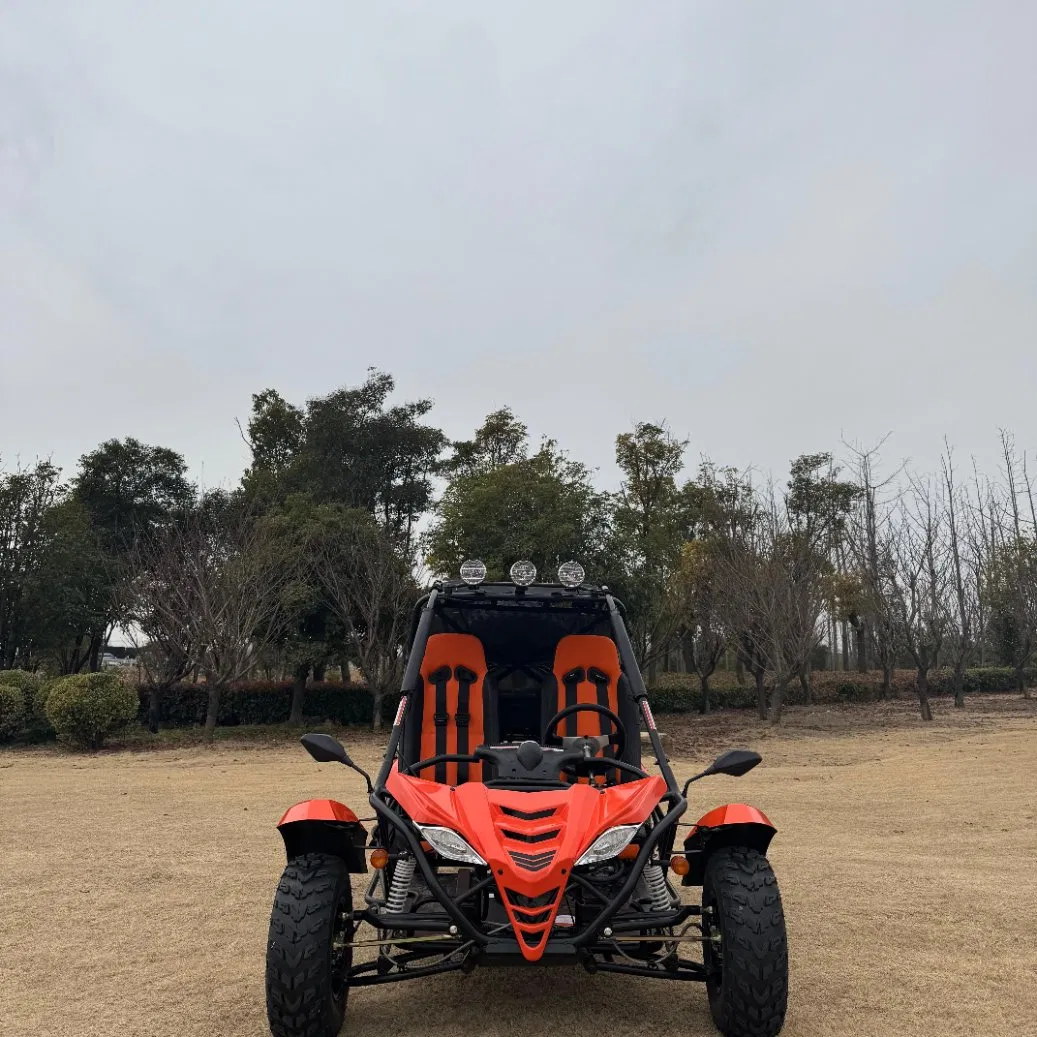 off Road Adult Beach Quad Bike Jaguar 200 Go Cart Efi