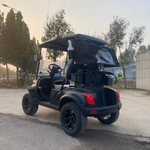 Wholesale Price 2 Seater Golf Cart Lithium Battery CE Certified Golf Buggy Lifelong After-Sale Service Electric Vehicle with GPS