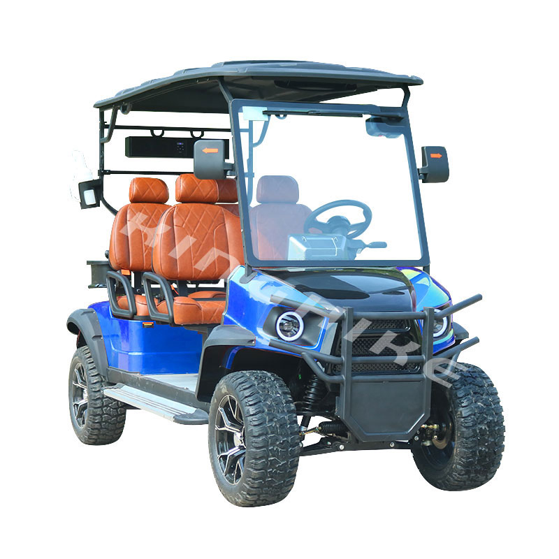 Premium 48V Street-Legal 6-Seater Electric Golf Cart with Custom Styling and Optional 4-Seat Configuration