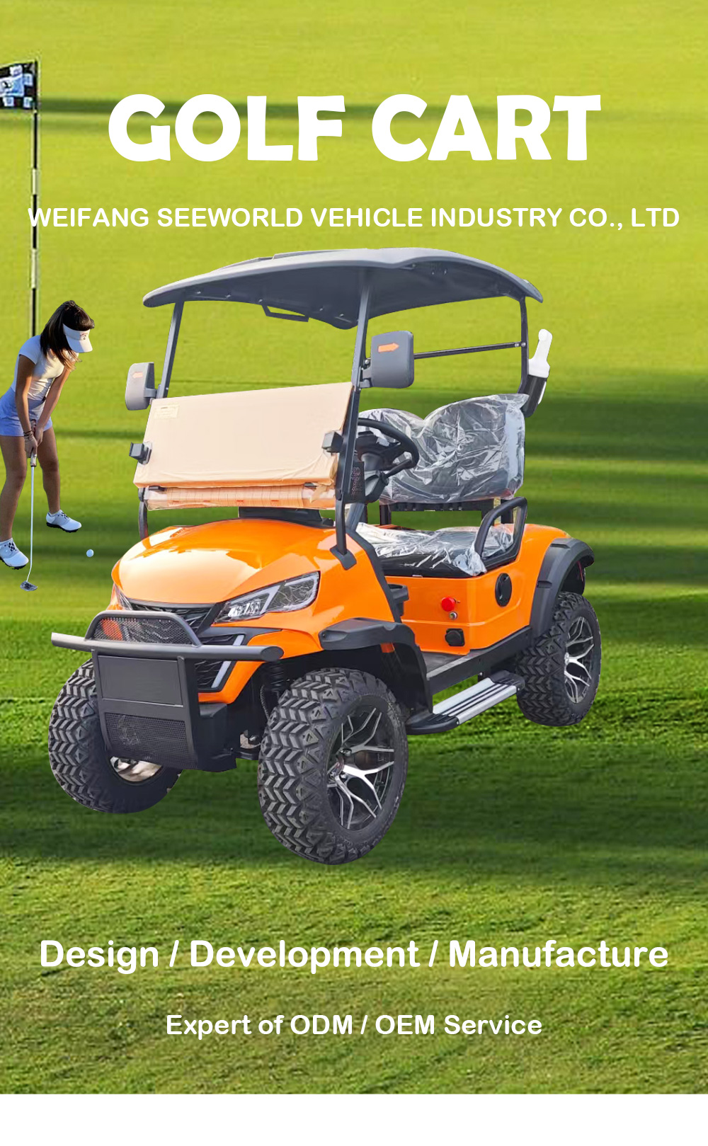 Electric Golf Cart Front View