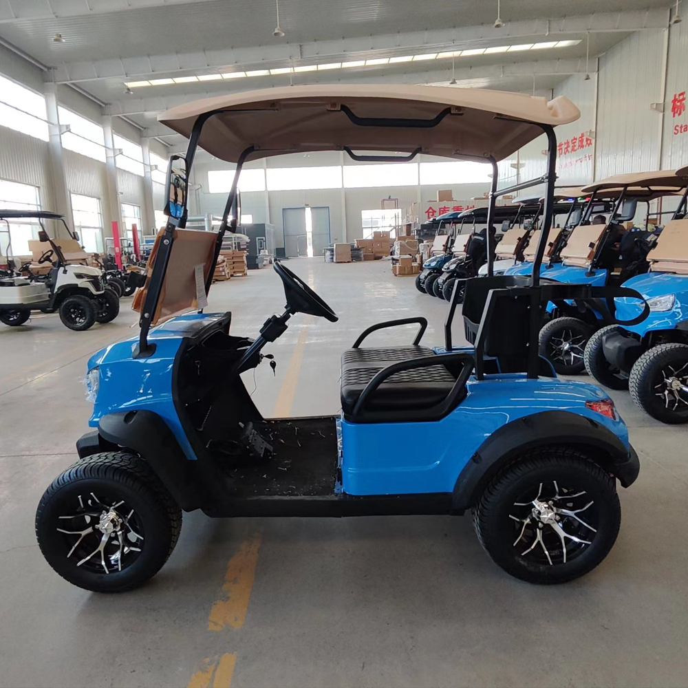 Mini Golf Carts for Adults 2 Seats 2 Passenger Street Legal Utility Vehicle Electric for Personal Use Golf Course Hunting Club