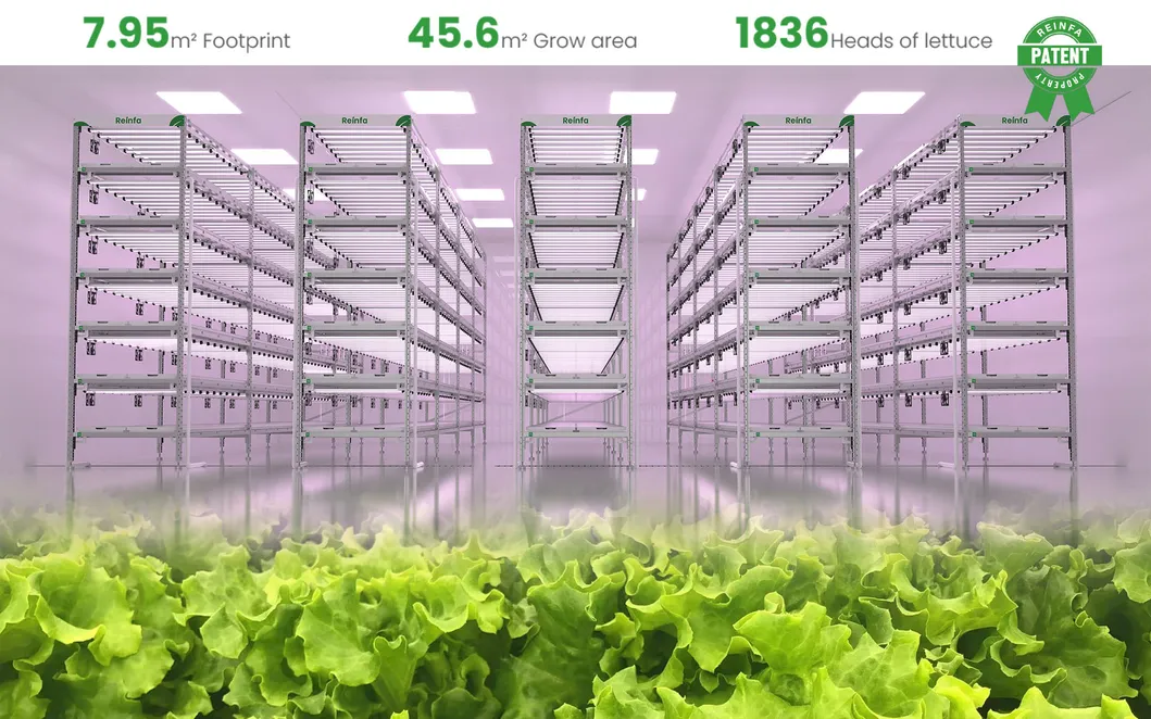 Hydroponic System Nft Technology - Modular Vertical Grow Racks & Full-Spectrum LEDs for Commercial Farms