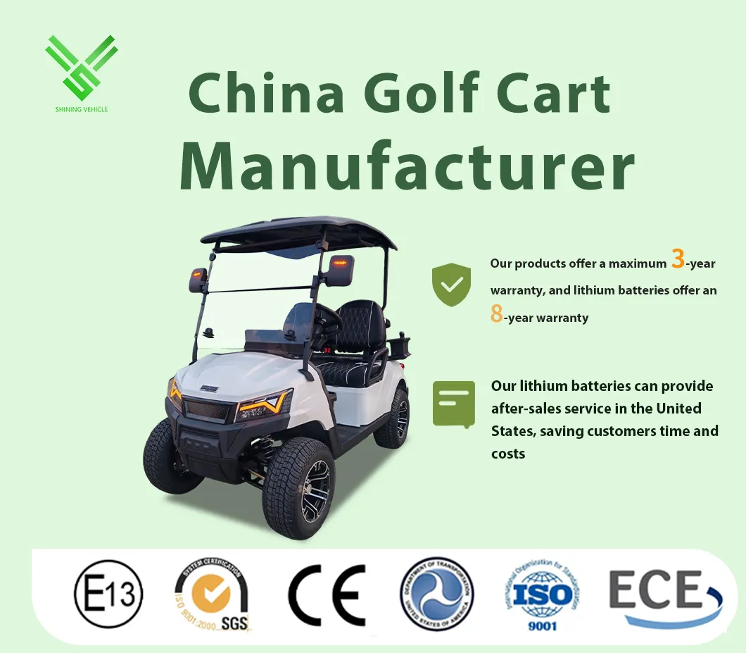 2 Seat 48V Lead Acid Compact Entry Model Vehicle Golf Cart