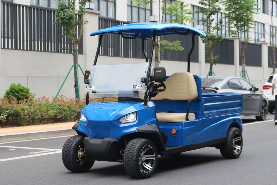 Electric Golf Utility Cart Details