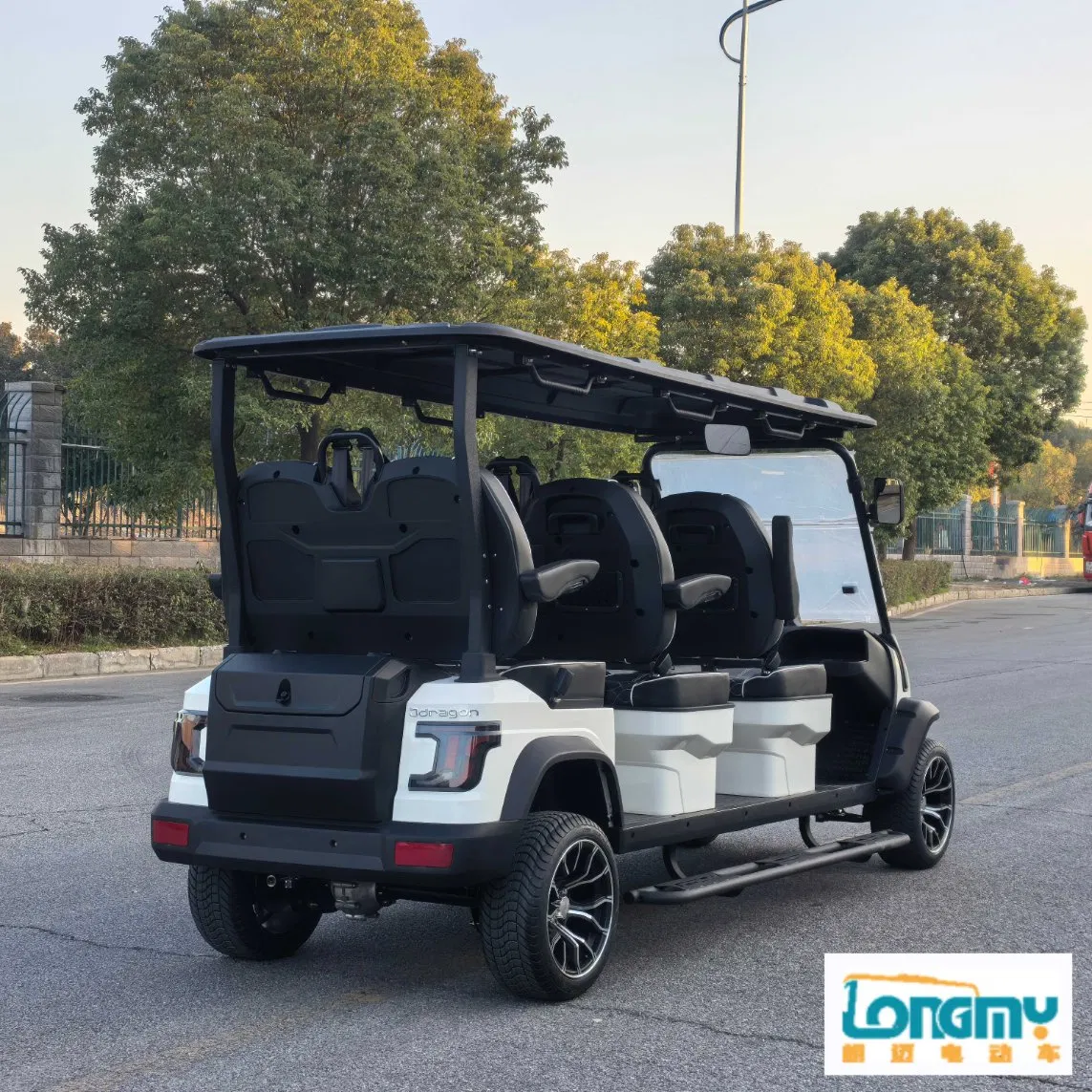 Eco-Friendly 48V AC Electric Golf Cart for Stylish Golfing