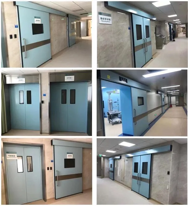 Modular Cleanroom Structure Panel