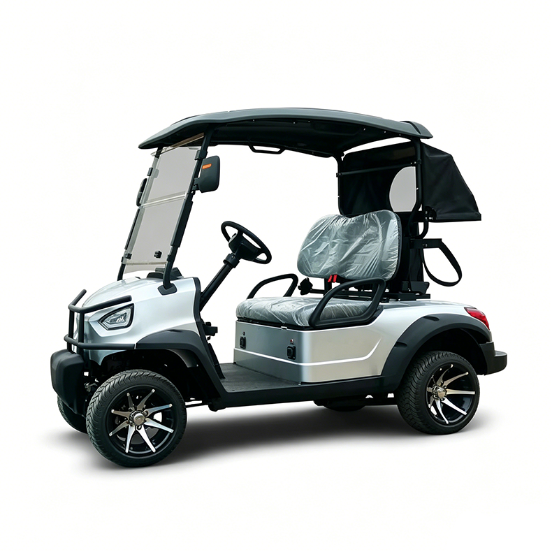 Silver 2-Seater Urban Electric Golf Cart, Compact Utility Vehicle with Foldable Windshield &amp; Rear Privacy Cover